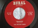 THE PROTEIN BROS.(BROTHERS)-DRAINPIPE/CHOLO RARE GARAGE FUZZ FUNK RR 45-01 NMINT