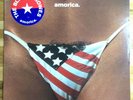 The Black Crowes - Amorica VINYL LP - Original pressing 1994
