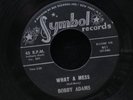 Bobby Adams-What A Mess/Let Me Love You-Symbol 911-POPCORN RARE