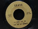 Age Of Bronze-I'm Gonna Love You/Everything Seems-Guava 102-NORTHERN SOUL