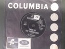(THE TWILIGHTS-Sand in the Sandwiches/ Lotus)-legendary status -I8-7