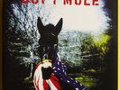 GOV'T MULE (1st ALBUM) / 2 x LP VINYLE NEUF MINT NEW / BLUES ROCK SOUTHERN ROCK