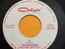 THE WILD ONES #5 ORLYN Indiana Surf Instro Garage LISTEN