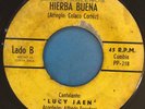 CONJUNTO AIRE TABLEÑOS - Hierba Buena / Hojita de Guarumal - PANAMA 45