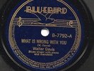 BLUES - WALTER DAVIS 