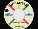 Rockabilly 45 - Jimmy Lloyd - I Got A Rocket In My Pocket - Roulette - VG+ mp3