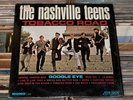 RARE GARAGE ROCK LP NASHVILLE TEENS 