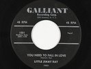 R&B Soul Popcorn 45 - Little Jimmy Ray - You Need To Fall In Love - Galliant mp3