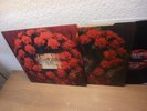 THE STRANGLERS NO MORE HEROES LP NM UK 1st Press ORGAN PUNK