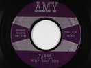 R&B Exotica Inst. 45 - Hully Gully Boys - Yabba - Amy - mp3