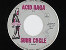 Psych Fuzz Inst. 45 - Sunn Cycle - Acid Raga - Spectrum - mp3