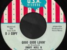 Rare 60's USA Psych Garage 45 - JIMMY NULL & THE INVERSIONS (USA)