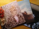 Ty Segall s/t 2008, Mikal Cronin- MCII, White Fence- Live in San Francisco LPs