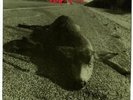 Pearl Jam Fan Club Christmas Vinyl Who Killed Rudolph Sonic Reducer Ramblings