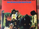 Acid Mothers Temple & Melting Paraiso - Have You Seen the Other Side of the Sky?