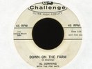 AL DOWNING & THE POE KATS Down on the Farm Challenge Promo R&B Rocker 45 Hear