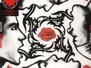 Red Hot Chili Peppers Blood Sugar Sex Magik EU 180gm vinyl 2 LP NEW/SEALED