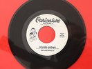 THE ABSTRACTS · GITCHEE-GOOMIE b/w THE BEARD · Exotic Surf Instro CARICATURE 45