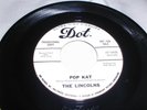 THE LINCOLNS Pop Kat/We Got Some 45 Dot Promo Garage Rock Psych Sixties