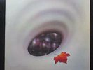Robin Trower - Long Misty Days LP Mint- CHR-1107 Chrysalis 1976 Vinyl Record