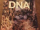 DNA A Taste Of DNA LP Ep Original ANERICAN CLAVÉ No Wave Punk