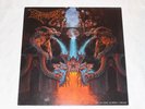LP Dismember 