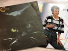 C.C. Catch Catch The Catch and Soul Survivor 2 Vinyl LP and 12 Maxi