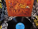 CLEAN 1970 ORIG ? FEVER TREE ? FOR SALE ?Hard Garage Psych +12:56 HEY JOE & LOVE