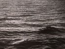 REICH, Steve - Four Organs/Phase Patterns (remastered) - Vinyl (LP)