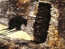 ANICON - Entropy Mantra - Vinyl (gatefold LP + MP3 download code)