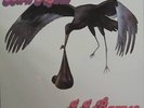 J.J. BARNES LP, BORN AGAIN (Perception US Issue NM/NM)