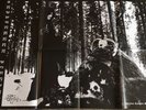 SATANIC WARMASTER carelian satanic ORIG VINYL LP behexen baptism goatmoon