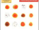 Gabriel,Peter-Scratch My Back/And I'll Scratch Yo - Music On V MOVLP 952 - (Viny