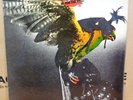 BUDGIE IN FOR THE KILL OG UK STEREO MCA RECORDS LP MCF 2546 A1/B1