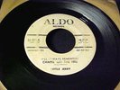 LITTLE JERRY Chapel on The Hill RARE R&B NORTHERN SOUL DJ PROMO 45 on ALDO Hear