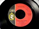 ORLONS Don't You Want My Lovin' KILLER NORTHERN SOUL MOD 45 Original CAMEO Hear