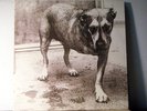 ALICE IN CHAINS Dbl LP self titled 1995 Columbia grunge rare vinyl copy