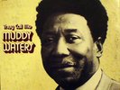 LP Muddy Waters They Call Me Muddy Waters 180 GRAM, STILL SEALED NEW OVP