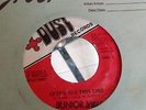 {DUST }{JUNIOR VIBES  AFTER ALL THIS TIME  45  //7'' Listen / VG+