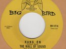 60's GARAGE: THE WALL OF SOUND - Hang On/You Had To Have Your Way BIG BIRD