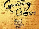 August And Everything After LP Vinyl Counting Crows - Adam Duritz Mr. Jones