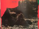 R.E.M. - Can’t Get There From Here unofficial live 2LP Set