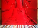 SHED SEVEN - INSTANT PLEASURES. UK PRESS 2017. VINYL LP SIGNED BY THE BAND INDIE