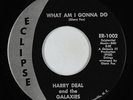 Northern Soul 45 - Harry Deal & Galaxies - What Am I Gonna Do - Eclipse VG+ mp3
