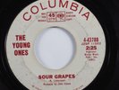 Instrumental Surf Tittyshaker 45 YOUNG ONES Sour Grapes COLUMBIA promo HEAR