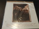 Pixies - Surfer Rosa [180 Gram Vinyl] MFSL LP MOFI #4689 Out of Print / Sealed