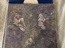 MeWithOutYou -Catch Us For The Foxes, Oop RARE