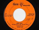 Funk 45 - Human Race - Grey Boy - Gem - mp3