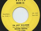 HEAR- Rare New Orleans Soul 45 - Richie Matta & Cleffs- I'm Just Walking- Watch