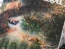 Pink Floyd A Saucerful Of Secrets Vinyl SX6258